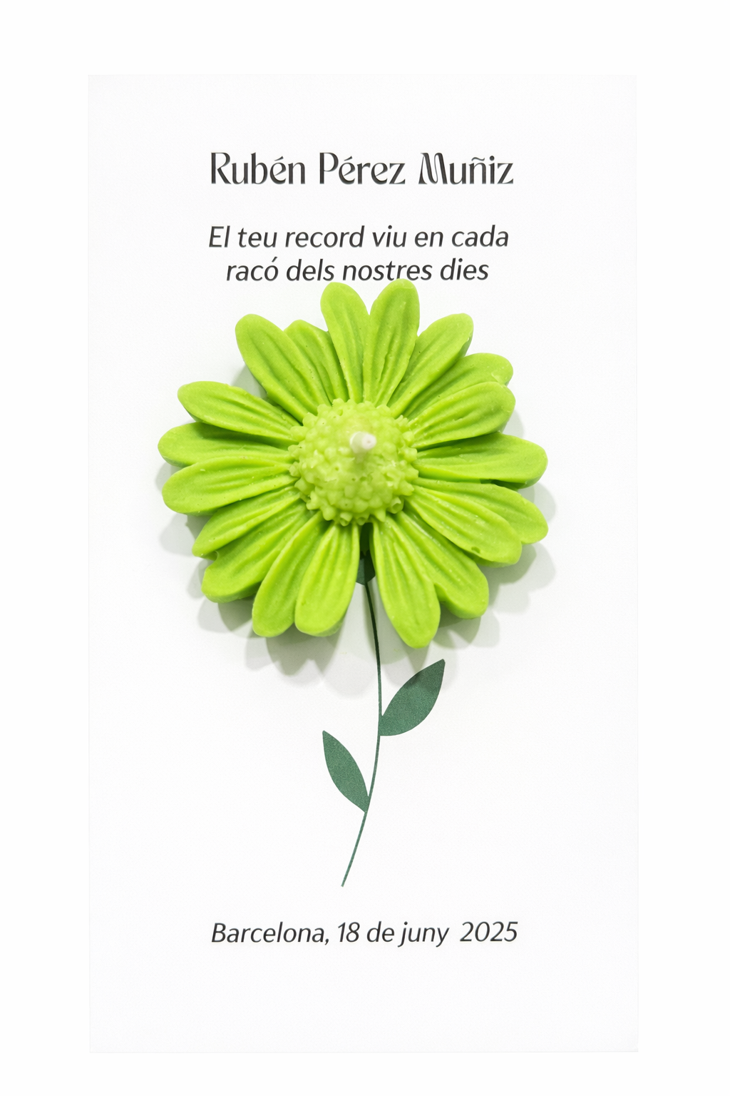 Detalle de recordatorio funerario moderno con flor verde artesanal en tarjeta conmemorativa de diseño sobrio, recuerdo simbólico de ceremonia, estilo sofisticado.