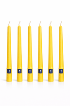 Pack de 6 velas cónicas Áurea Magna Mimosa Real, velas artesanales de alta gama para bodas, eventos y decoración de lujo.